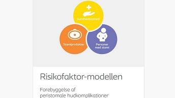 Risikofaktor-modellen